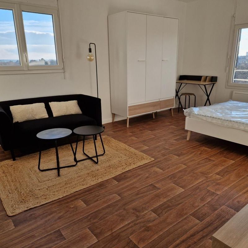 Location Appartement 1 pièce Meublé 28m² ANGERS 49100 - Photo 1