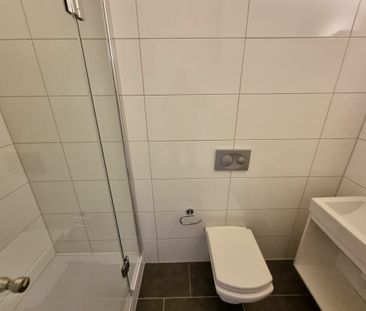 Petit mais agréable, en plein bord de Rhin ! - Photo 6