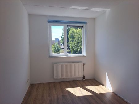 Van Berkumstraat 68 - Photo 3