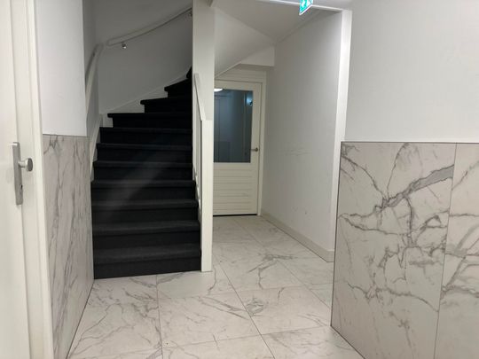Te huur: Appartement Wilhelminastraat in Haarlem - Foto 1