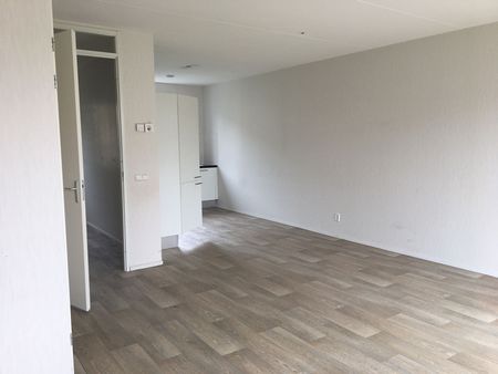 Vleermuiszoom 2 - Foto 2