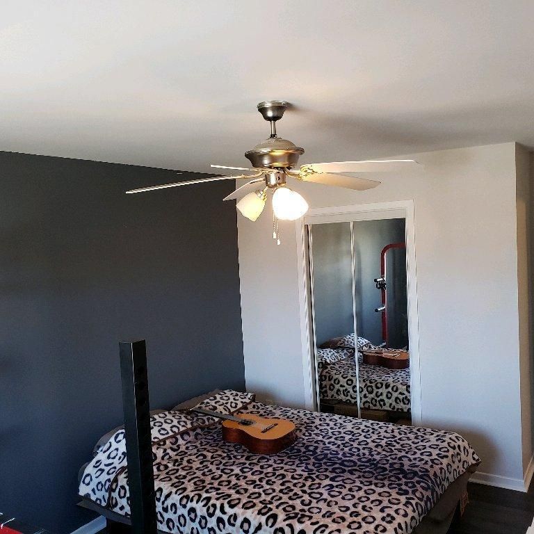 Grand 5 et demi DISPO maintenant ANIMAUX acceptés - Photo 1