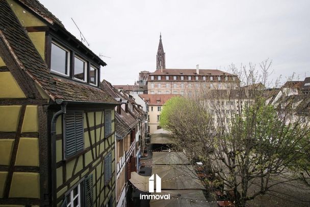 Location Appartement 2 pièces 61m² STRASBOURG 67000 - Photo 1