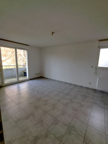 Location appartement 2 pièces, 43.70m², Saint-Paul-sur-Save - Photo 5