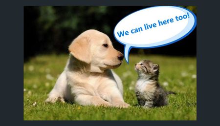 413/245 Pacific Highway, North Sydney NSW 2060 - Apartment For Rent | Domain - Photo 4