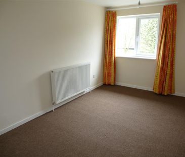 Vanguard Close - Photo 4