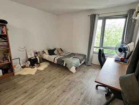 Location Appartement 1 pièce Meublé 26m² MONTPELLIER 34080 - Photo 2