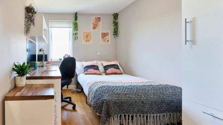 Classic En-suite in a 4-bed flat - Photo 4