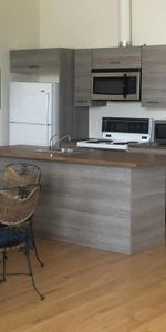 Grand 4 1/2 meublé à louer au mois deux chambres situé dans le pittoresque village du Vieux Sainte-Rose, 2500$ tout inclut - Photo 4