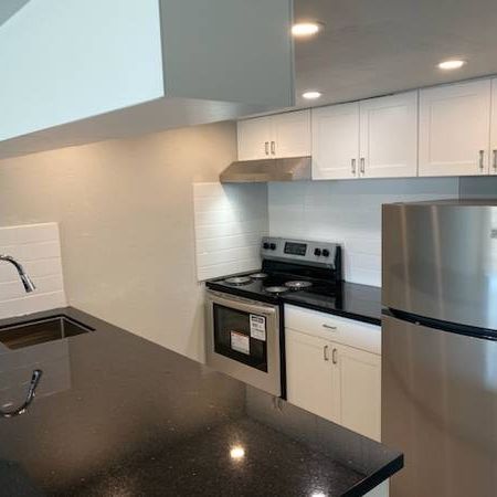 Newly Renovated Two Bedroom Suite for Rent - Photo 1