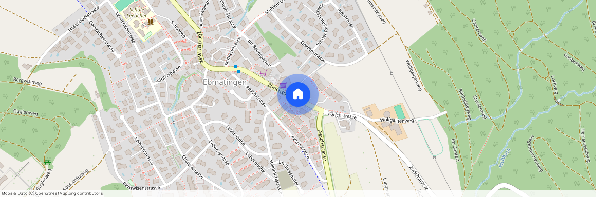 Lebernstr. 9, Schweiz, 8123, Ebmatingen