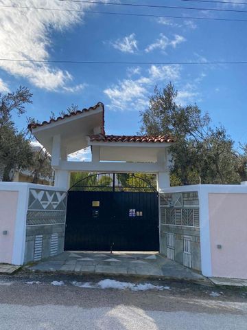 Μεζονέτα για ενοικίαση Αγία Μαρίνα (Κορωπί) - Photo 5