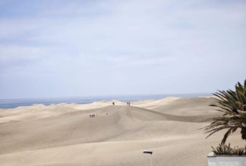 Maspalomas, Canary Islands 35100