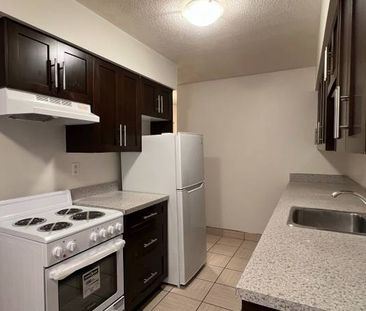 PET FRIENDLY 2 beds + 1 Bath Unit in Marpole - Photo 4