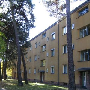 Gut geschnittene 2-Zimmer Wohnung - Photo 3