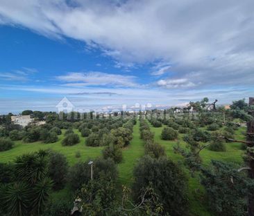 Bilocale Strada Provinciale Noicattaro-Torre a Mare, Torre a Mare, ... - Photo 3