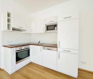 Wohnen mit großen Balkon. Eine Oase mitten in der Stadt - Photo 4