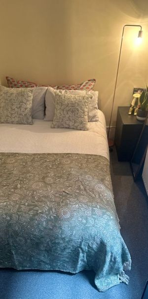 Room in a Shared Flat, Effra Mansions, SW2 - Photo 2