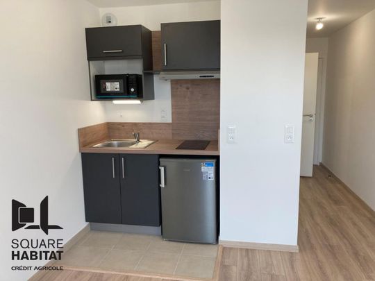 Location Appartement 1 pièce 19m² TOURS 37100 - Photo 1