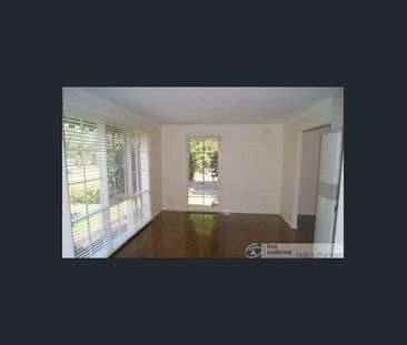 Terrific 3 Bedroom Home! - Photo 3