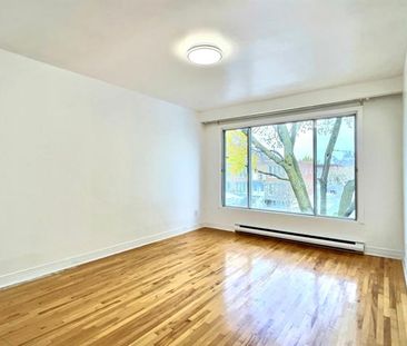 7042 Rue d'Abancourt - Photo 5