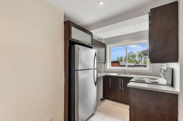 VISITE LIBRE, 2415 Rue Parthenais, Montréal (Le Plateau-Mont-Royal), QC H2K - Photo 1