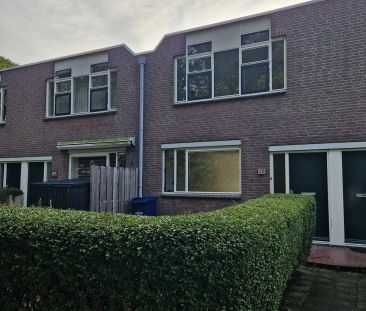 Maison Familiale au Rez-de-Chaussée Lehárstraat, La Haye - À Louer - Photo 5