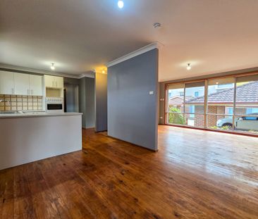 An Abundance of Natural Light - Photo 2