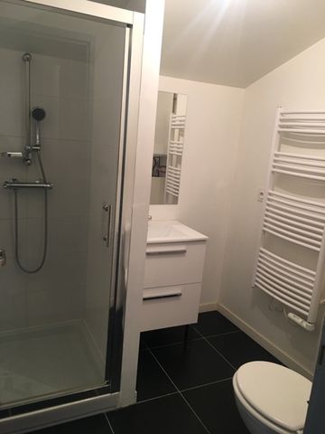 Location Appartement 1 pièce 21m² BORDEAUX 33000 - Photo 3