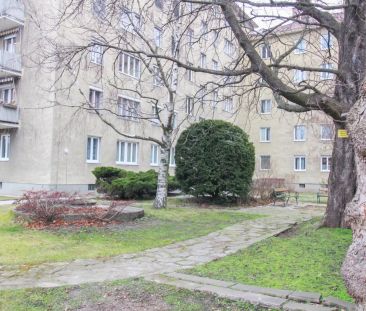 3-Zimmer-Wohnung mit extra Küche und Balkon! - Photo 1