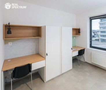 Pronájem moderního bytu 1+kk (Standard) u Vaňkovky – BEZ PROVIZE! - Photo 5