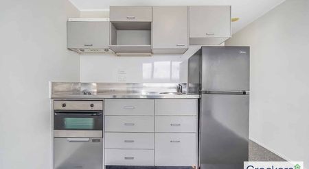 Unique 2b/2b Apartment - Photo 5