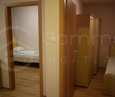 Kiadó jó állapotú lakás - Miskolc - Fotó 5