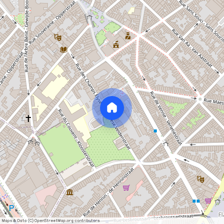 Rue Des Champs Élysées - Elyzeese Veldenstraat, 40, 1050, Ixelles