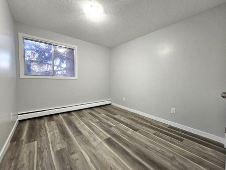 AMAZING FULLY RENO'D Apartment in Lacombe! CATS OK! - Photo 4