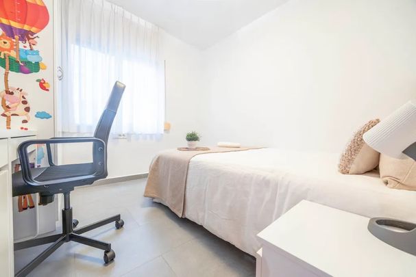 Avinguda de Blasco Ibáñez, Valencia, Valencian Community 46022 - Photo 1