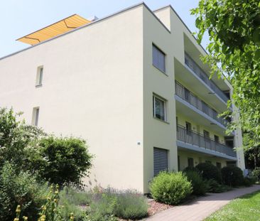 Naturverbundenes Wohnen in Bättwil - gemütliche 3-Zimmerwohnung im ... - Foto 5