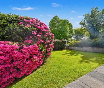 4 Knocklofty Court, Belfast, BT4 3NF - Photo 4