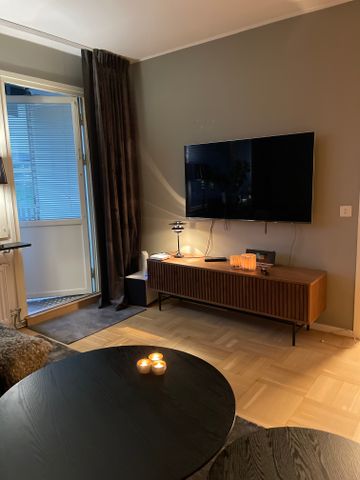 Viktor Rydbergsgatan, Uppsala - Foto 2