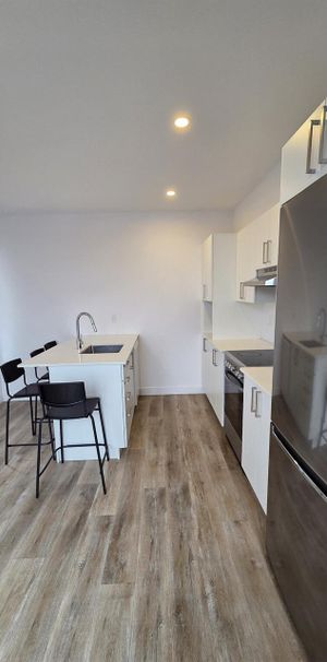 Studio - 980 Rue Notre-Dame, Montréal - Photo 1
