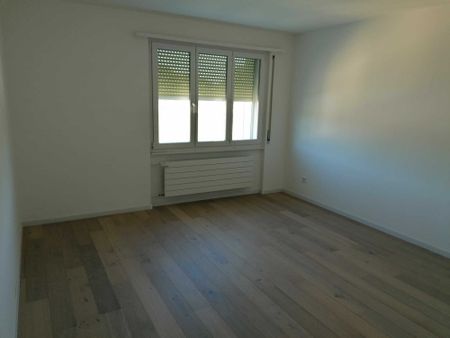 Tertre 4 - Appart. 4 p - 2 net rentals offered - Photo 3