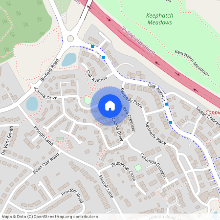 Carina Drive, The Carillions, Wokingham, RG40