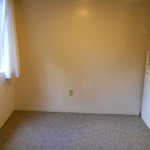 Spacious 1 Bedroom Apartment (Unit 217) - Photo 2