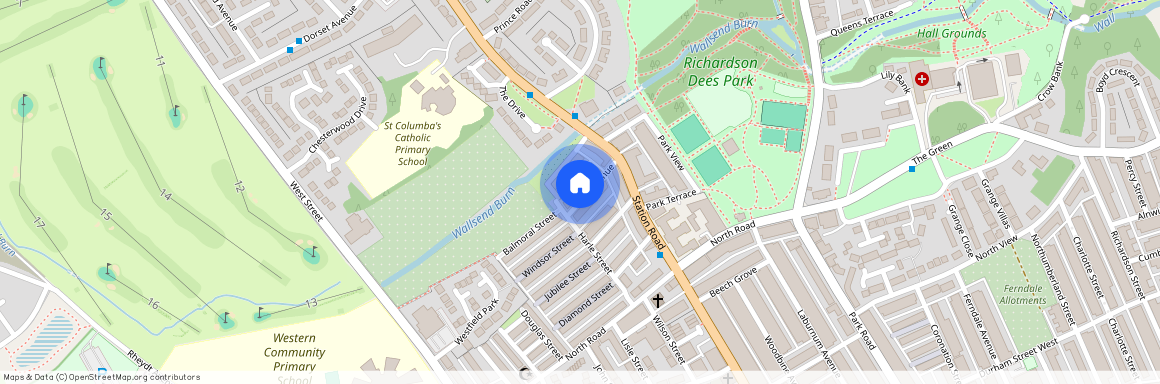 (COPY of) Victoria Avenue, Wallsend, NE28