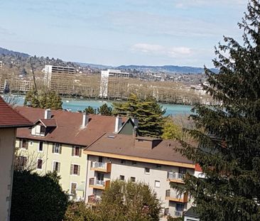 Location Appartement 1 pièce 41m² ANNECY 74000 - Photo 6