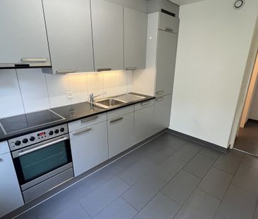 In der Breite zwischen dem Rhein, der Birs und dem St. Albanteich - Photo 3