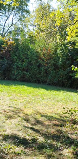 For Lease - 2 Lister Drive Unit# Upper, Toronto, Ontario - Photo 1