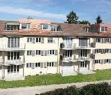ruhige, zentrale 2-Zimmerwohnung - Photo 3