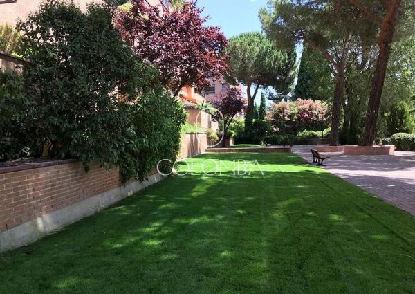 Luxury Apartment for rent in Madrid, Autonomous Region of Madrid