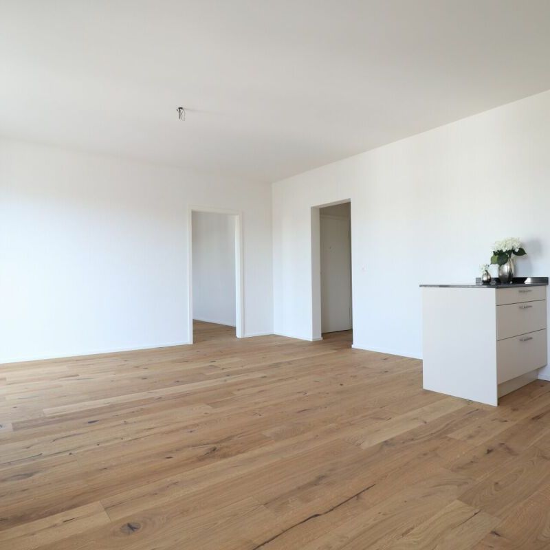 Moderne 2.5 Zimmer-Wohnung in ruhigem Quartier - Foto 1